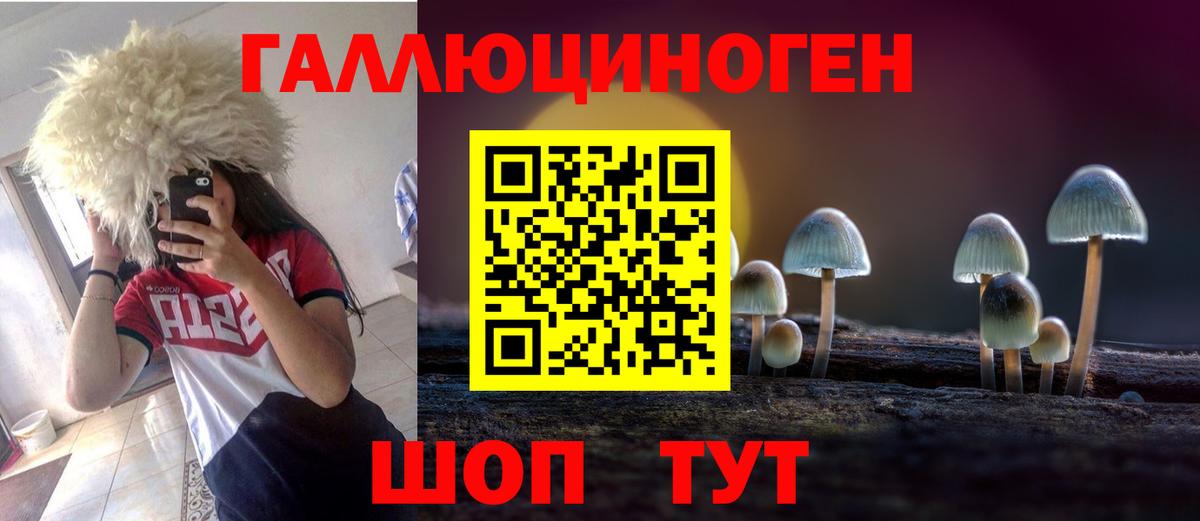 Псилоцибиновые грибы Psilocybine cubensis  Галлюциногенные грибы Cubensis  Кимры  закладки  Вход с VPN 